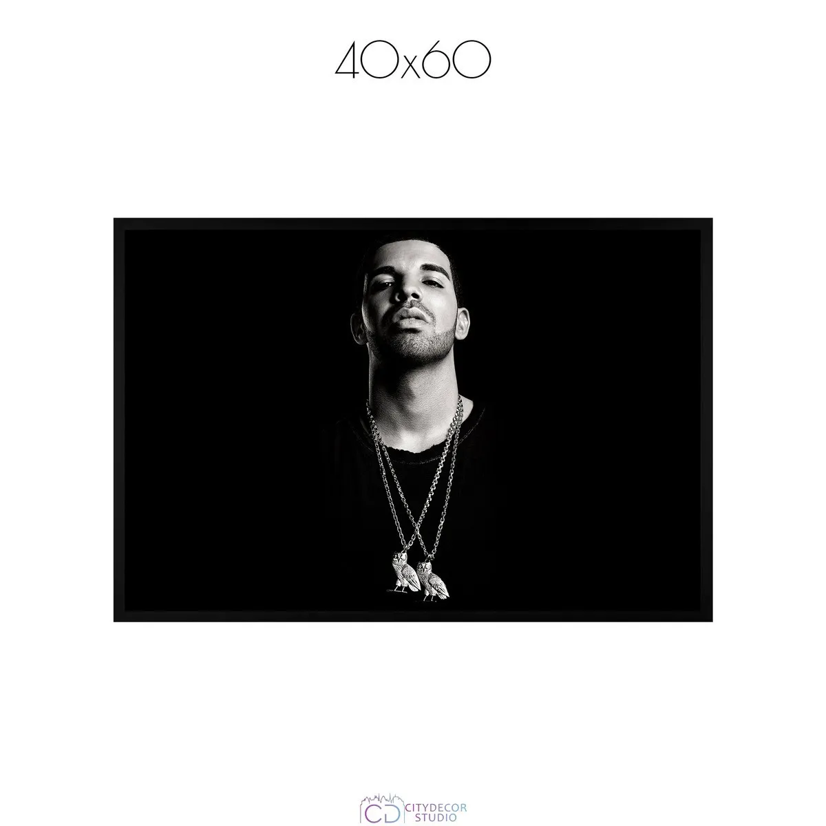 Постер Citydecor Drake арт. 1 (1 постер 40x60 см без рамы)