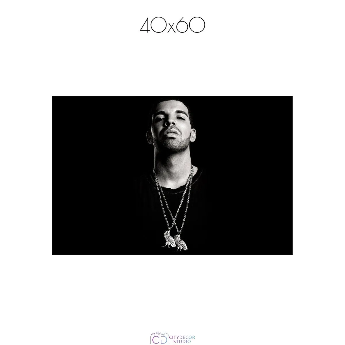 Постер Citydecor Drake арт. 1 (1 постер 40x60 см без рамы)