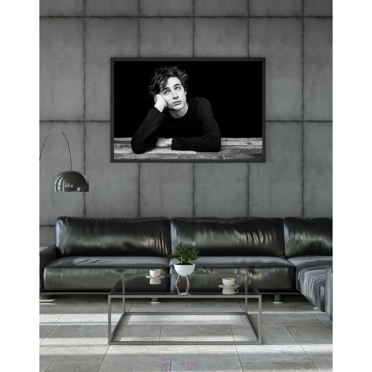 Постер Citydecor Timothee Chalamet арт. 1 (1 постер 40x60 см без рамы)