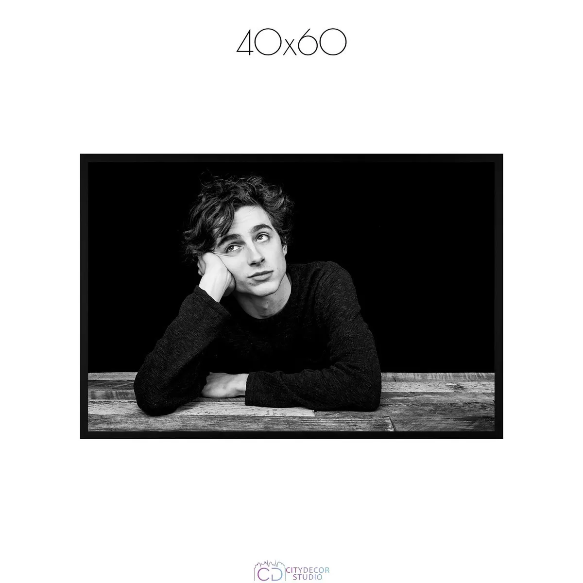 Постер Citydecor Timothee Chalamet арт. 1 (1 постер 40x60 см без рамы)