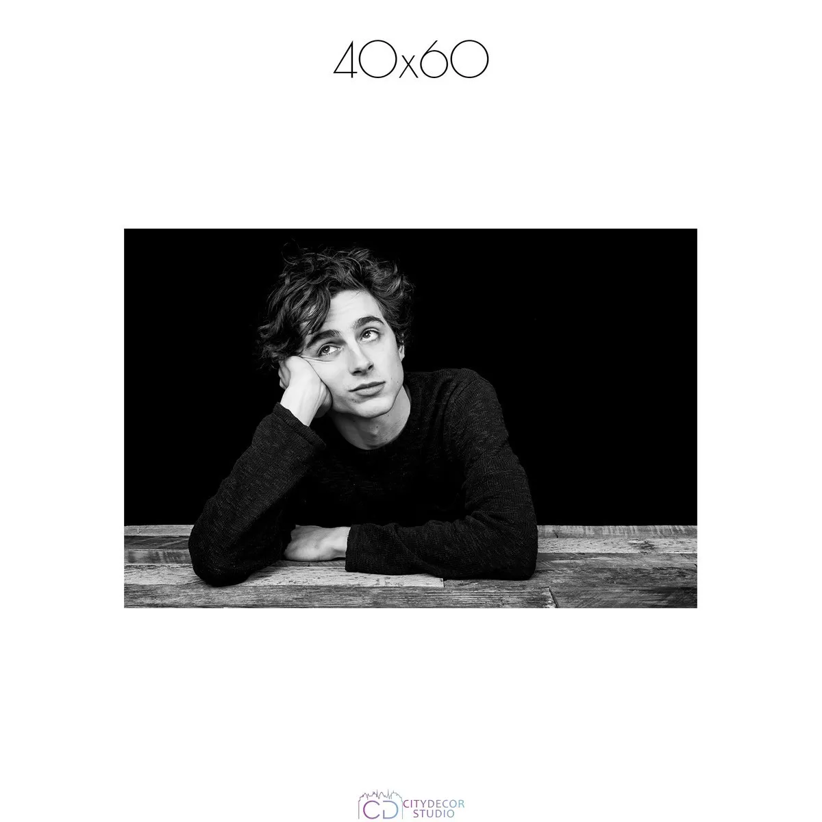 Постер Citydecor Timothee Chalamet арт. 1 (1 постер 40x60 см без рамы)