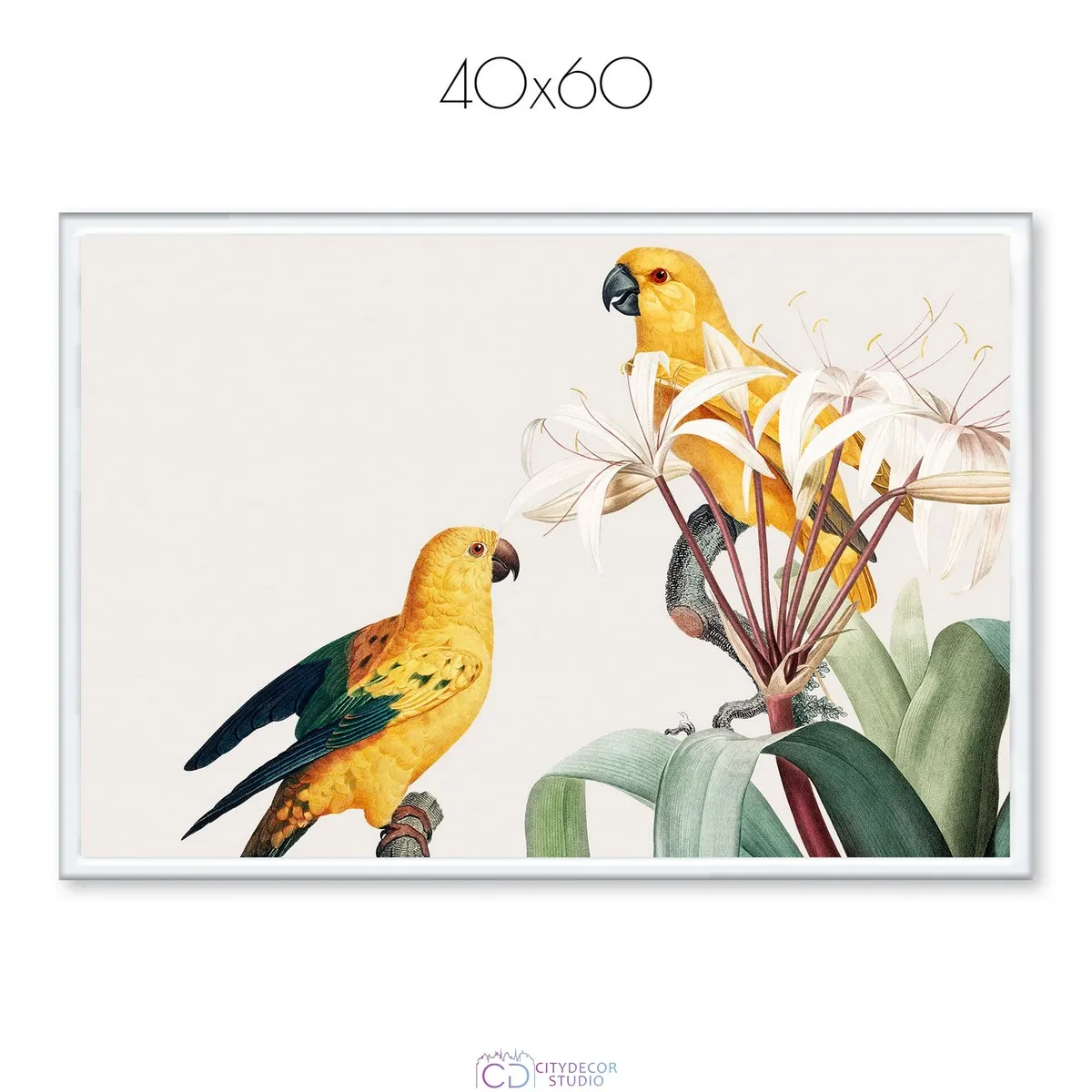 Постер Citydecor Попугайчики арт. 9 (1 постер 40x60 см без рамы)