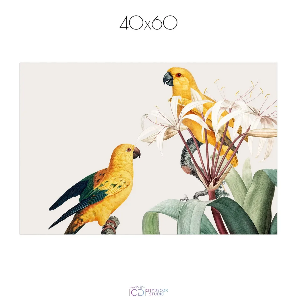 Постер Citydecor Попугайчики арт. 9 (1 постер 40x60 см без рамы)