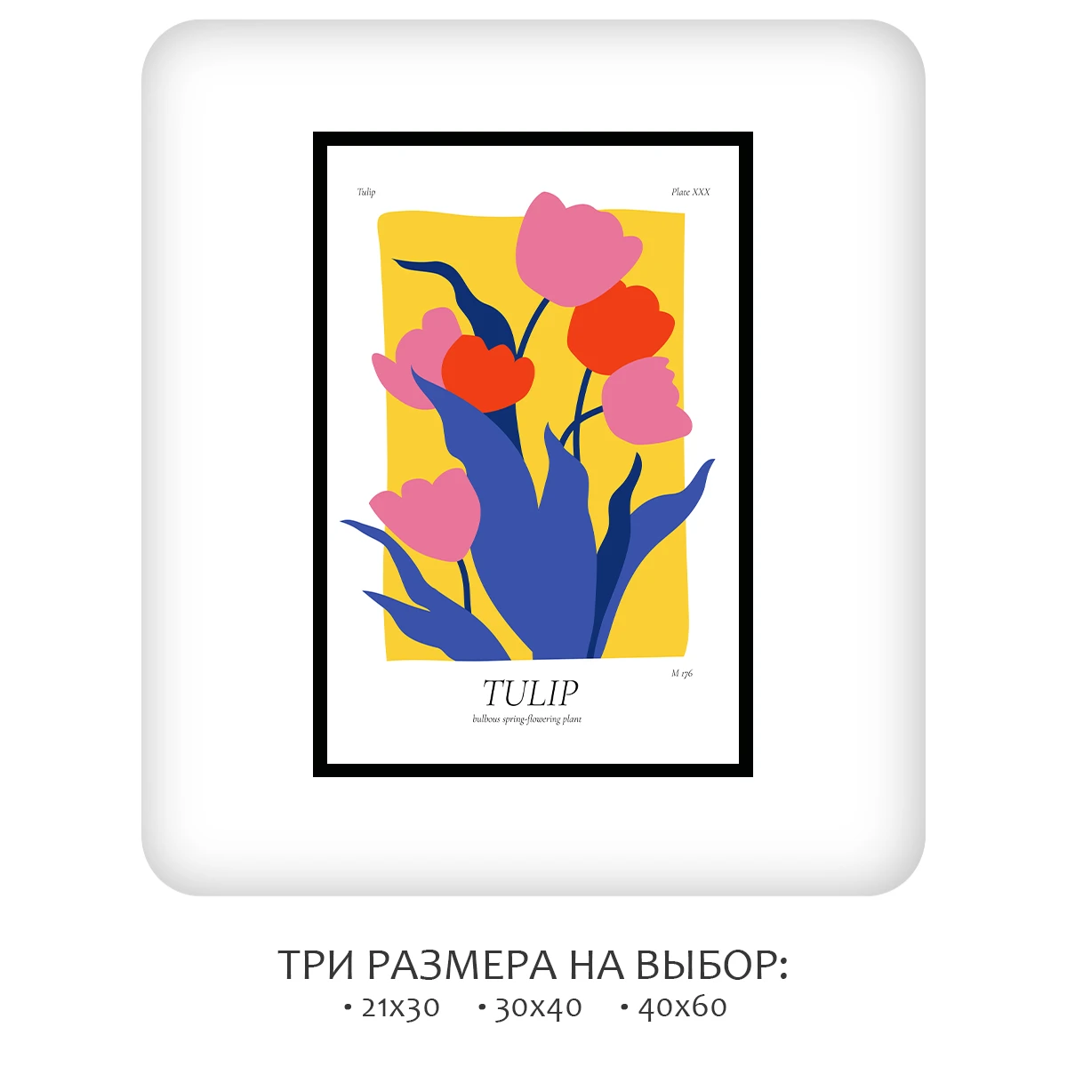 Постер Citydecor Tulip (1 постер 40x60 см без рамы)