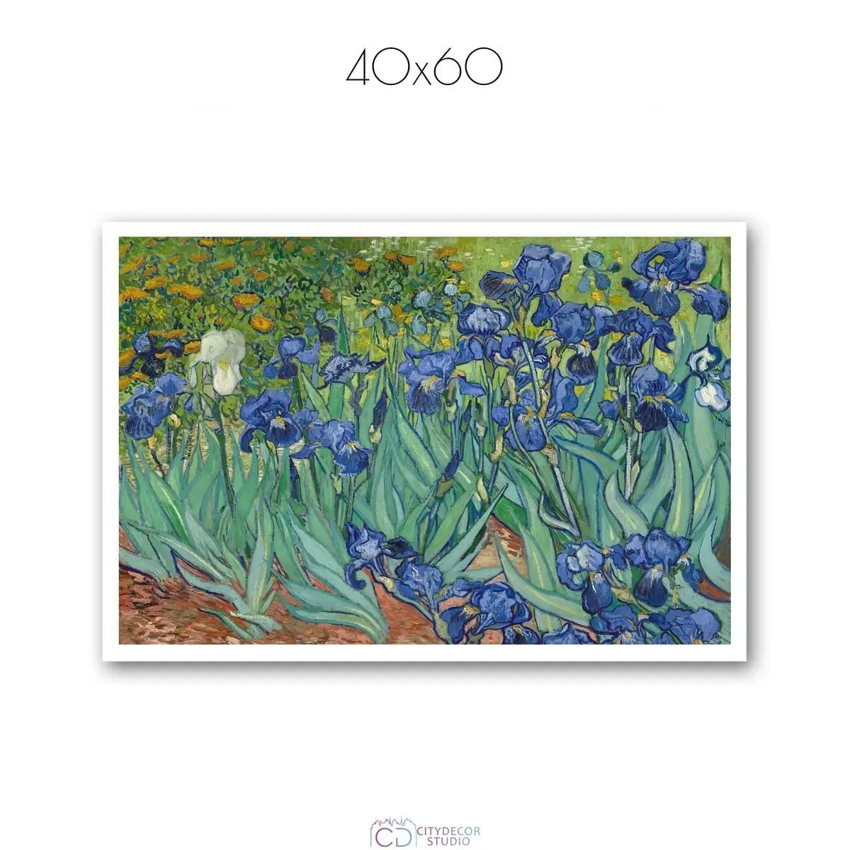 Постер Citydecor "Ирисы", Винсент ван Гог. Репродукция (1 постер 40x60 см без рамы)