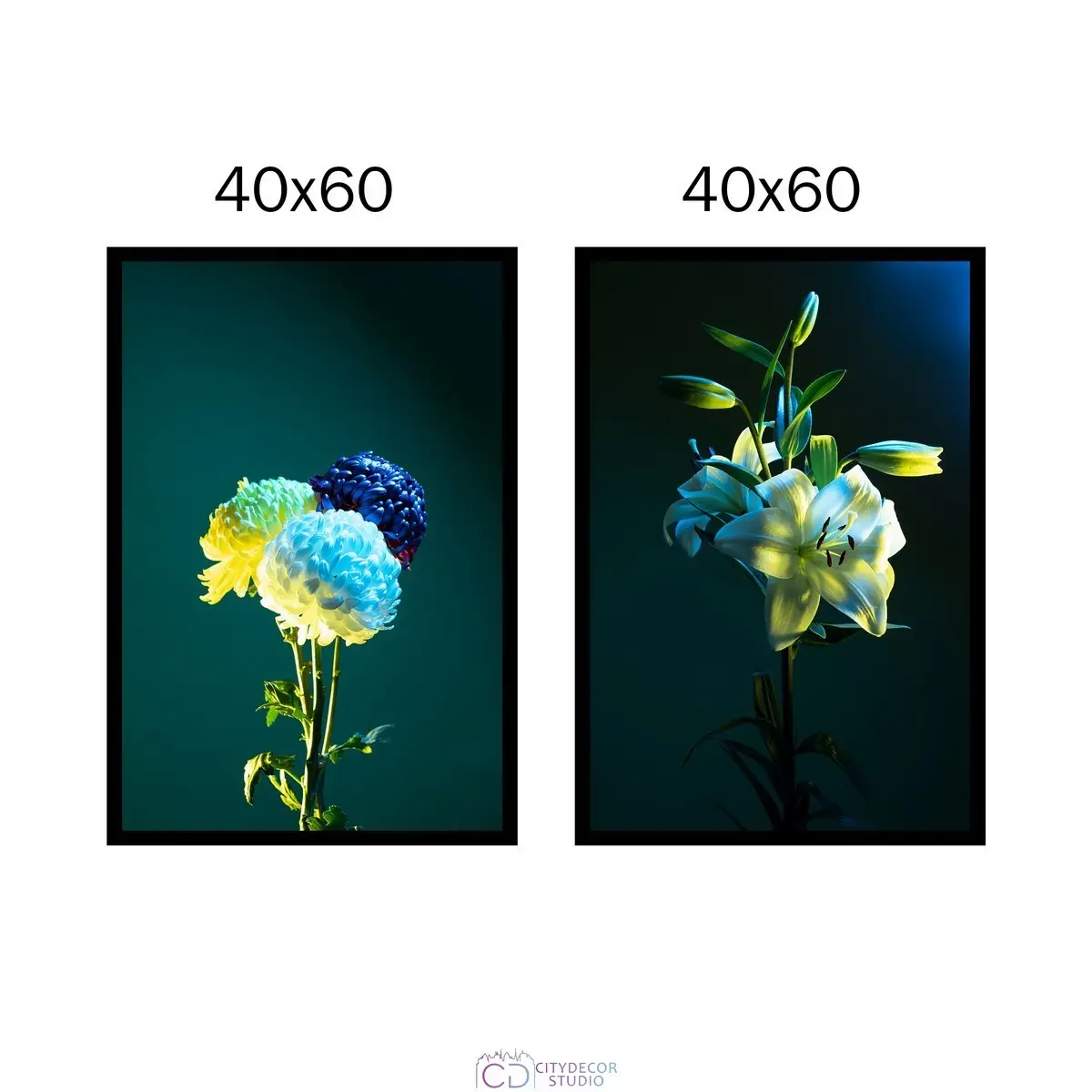 Набор постеров Citydecor Цветы арт. 15 (2 постера размером 40x60 см без рам)