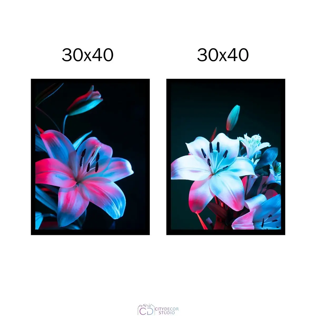 Набор постеров Citydecor Цветы арт. 17 (2 постера размером 30x40 см без рам)