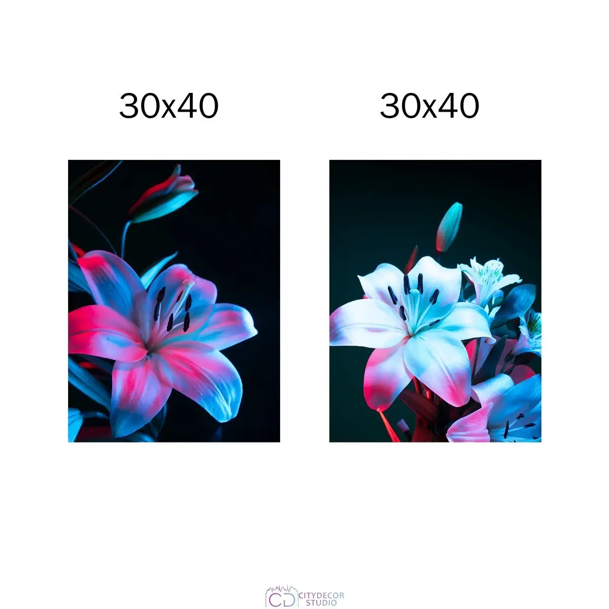 Набор постеров Citydecor Цветы арт. 17 (2 постера размером 30x40 см без рам)