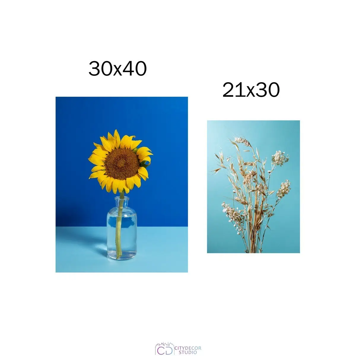 Набор постеров Citydecor Цветы арт. 21 (по 1 постеру размером 21x30 и 30x40 см без рам)