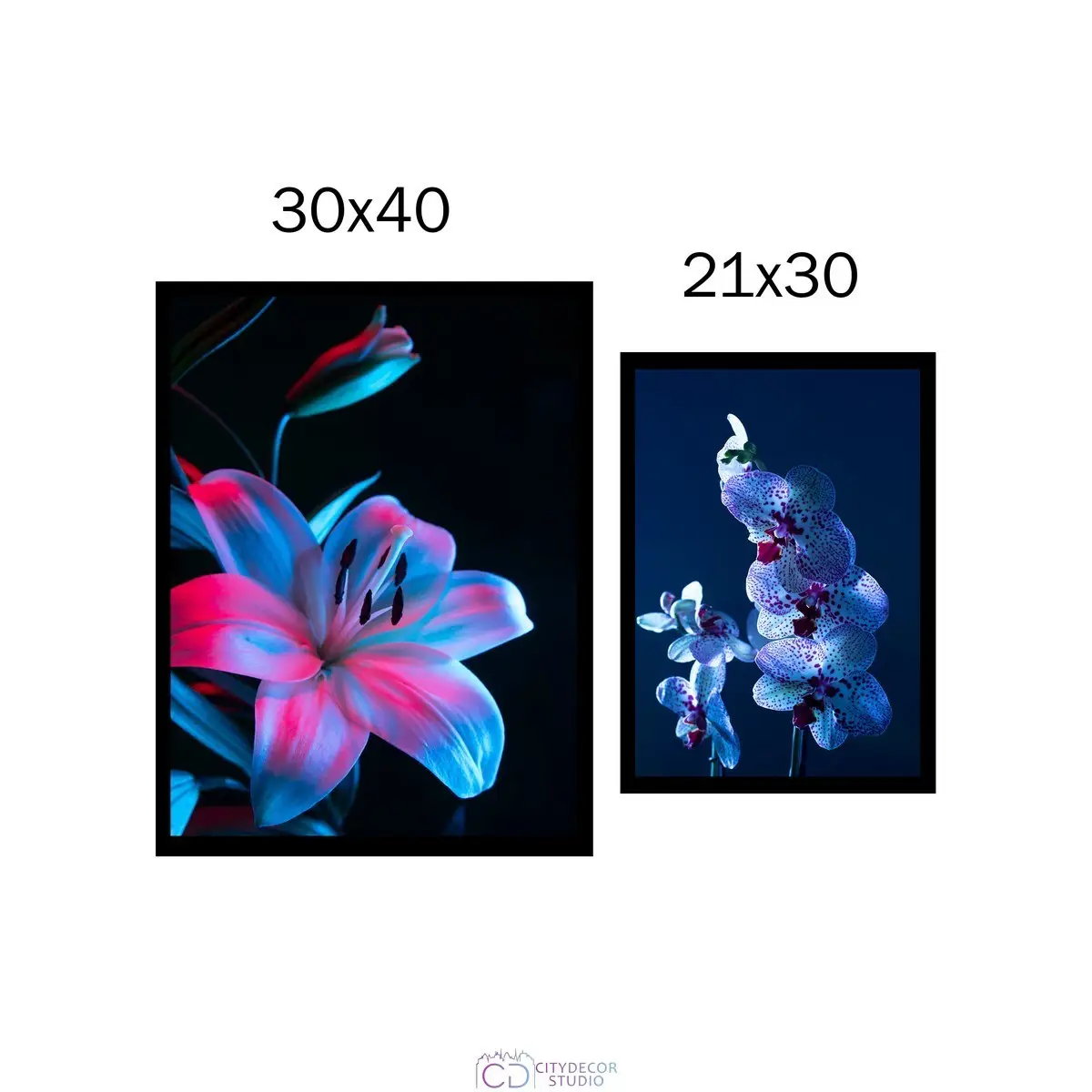 Набор постеров Citydecor Цветы арт. 22 (по 1 постеру размером 21x30 и 30x40 см без рам)