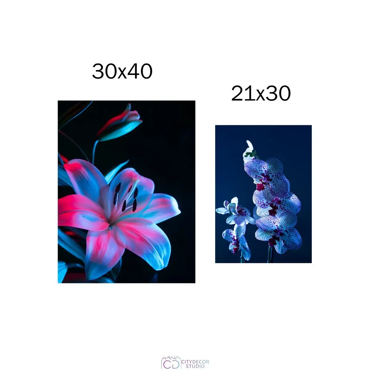 Набор постеров Citydecor Цветы арт. 22 (по 1 постеру размером 21x30 и 30x40 см без рам)