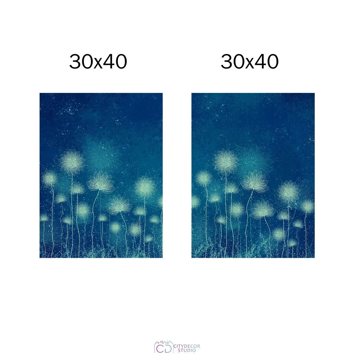 Набор дизайнерских постеров Citydecor Невесомость арт. 12 (2 постера размером 30x40 см без рам)
