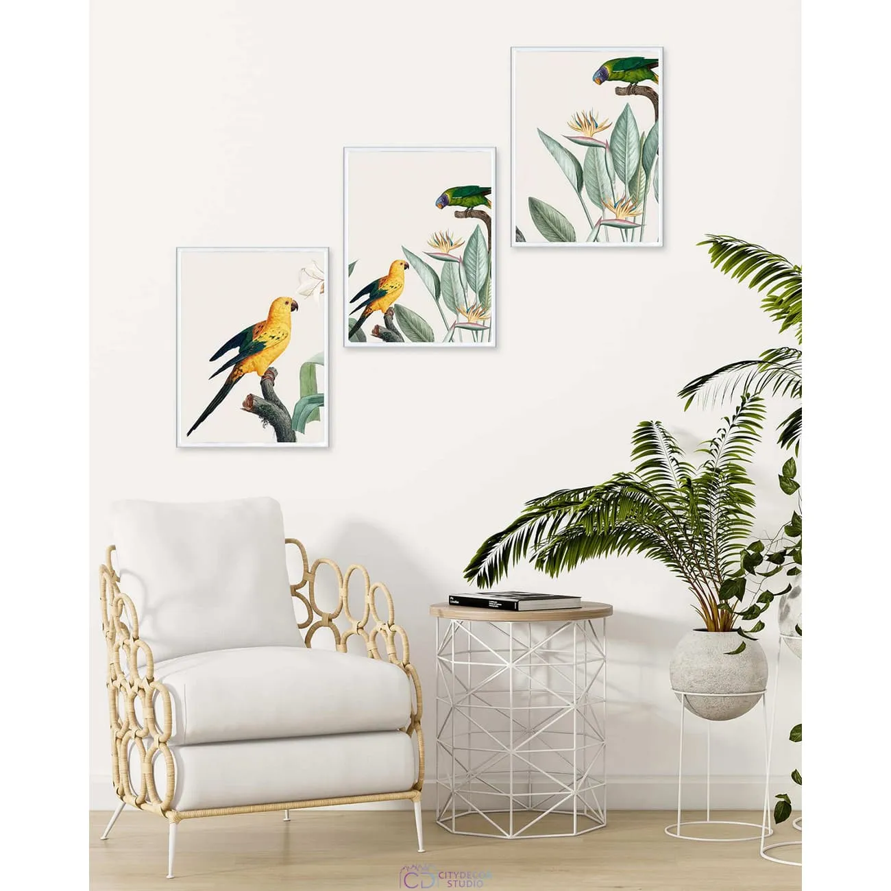 Набор постеров Citydecor Попугайчики арт. 5 (3 постера размером 40x30 см без рам)