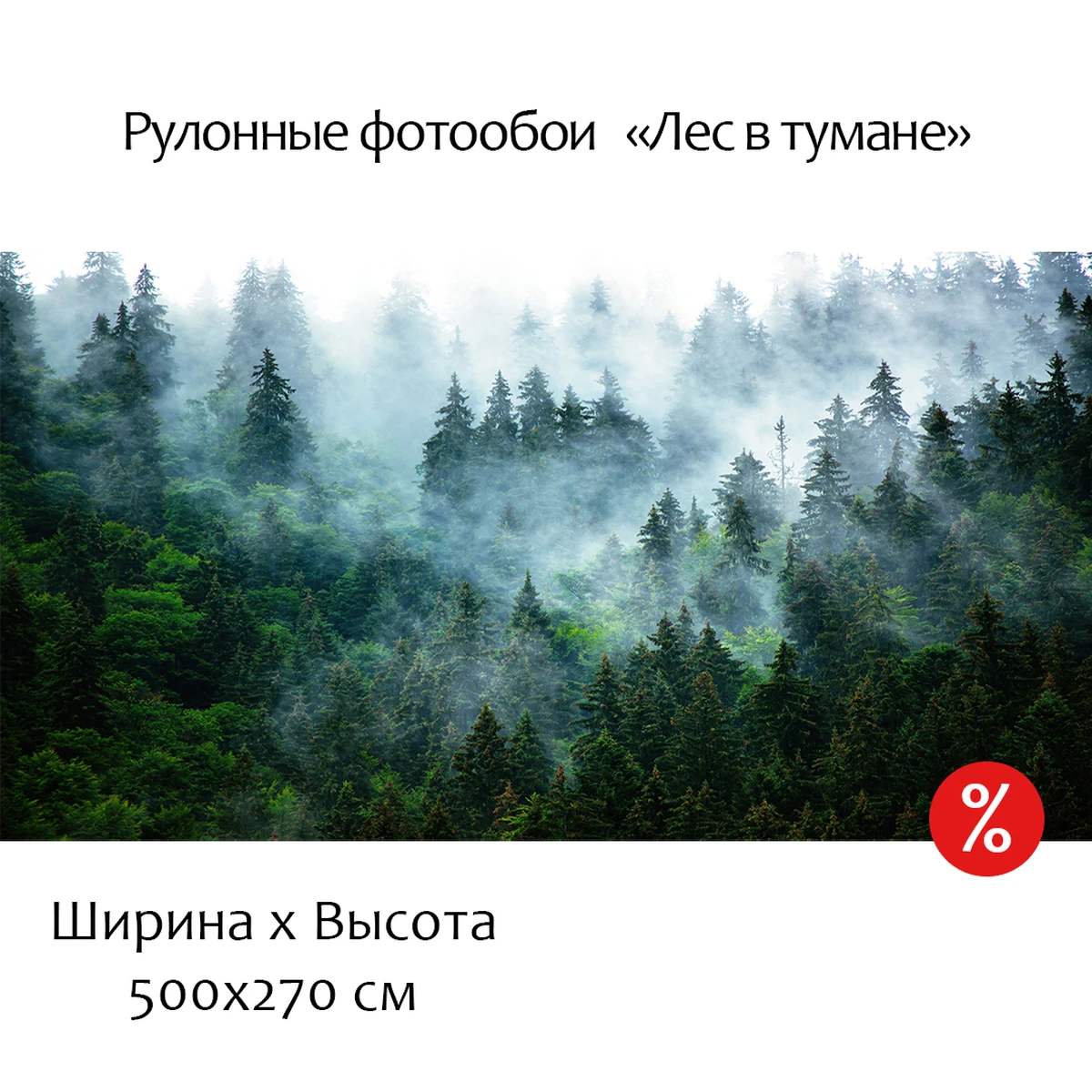 Фотообои рулонные Citydecor Лес в тумане на флизелиновой основе 500x270 см