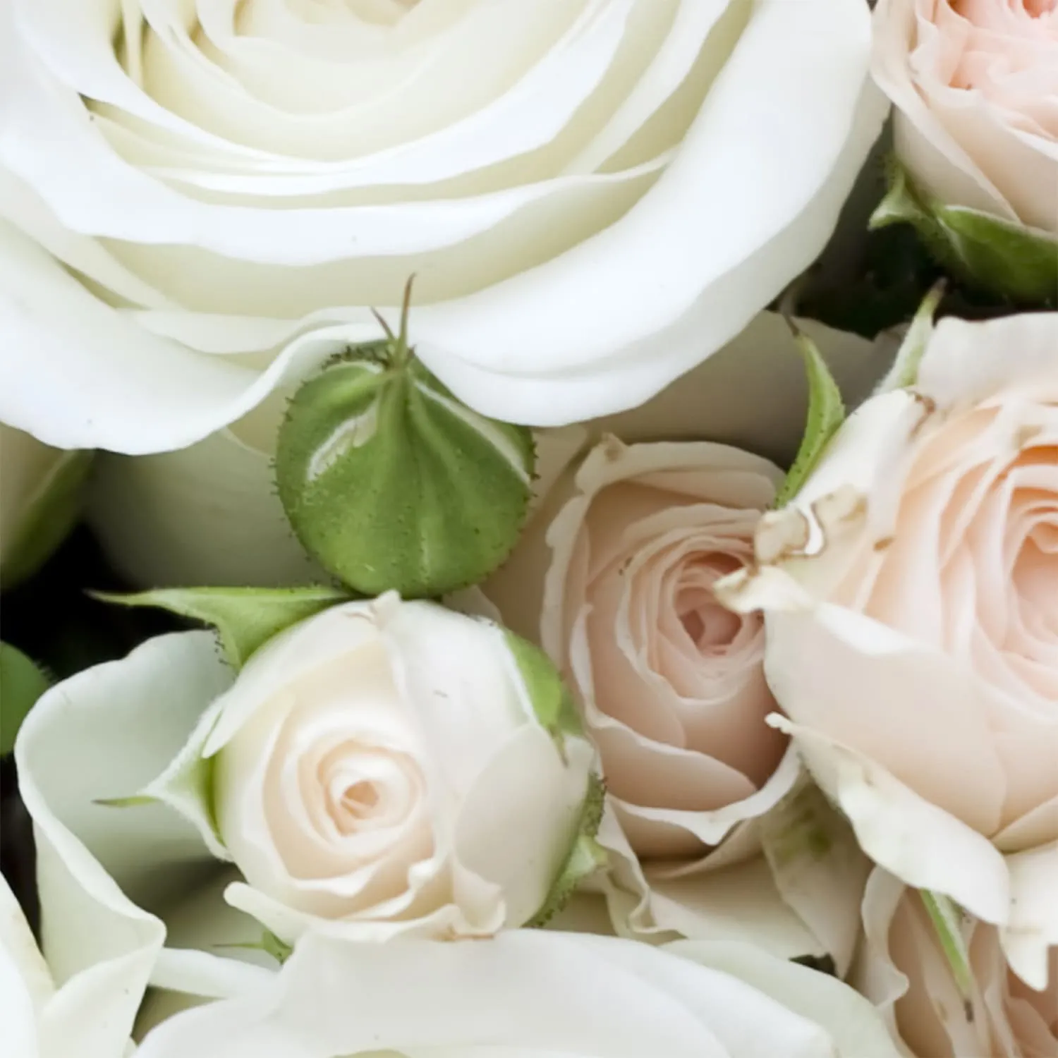 Фотообои рулонные Citydecor Букет роз на флизелиновой основе 100x254 см