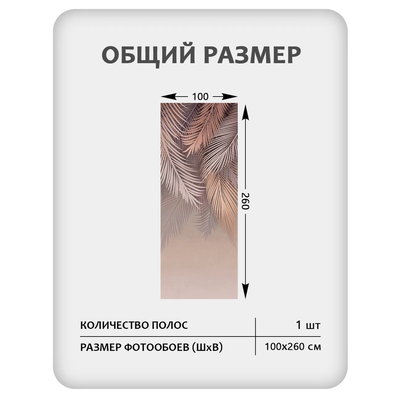 Фотообои рулонные Citydecor Пальмовые листья 79 на флизелиновой основе 100x260 см