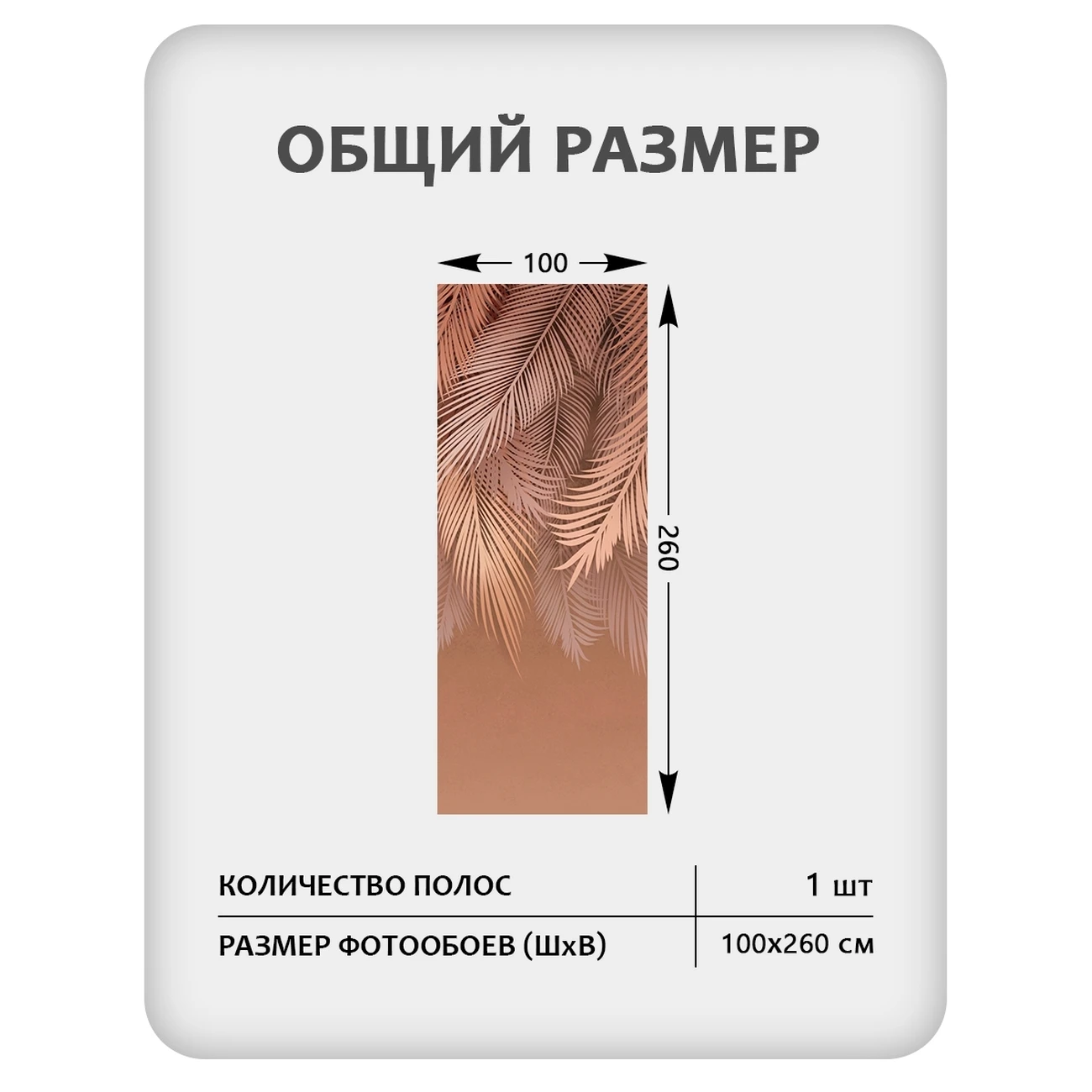 Фотообои рулонные Citydecor Пальмовые листья 80 на флизелиновой основе 100x260 см