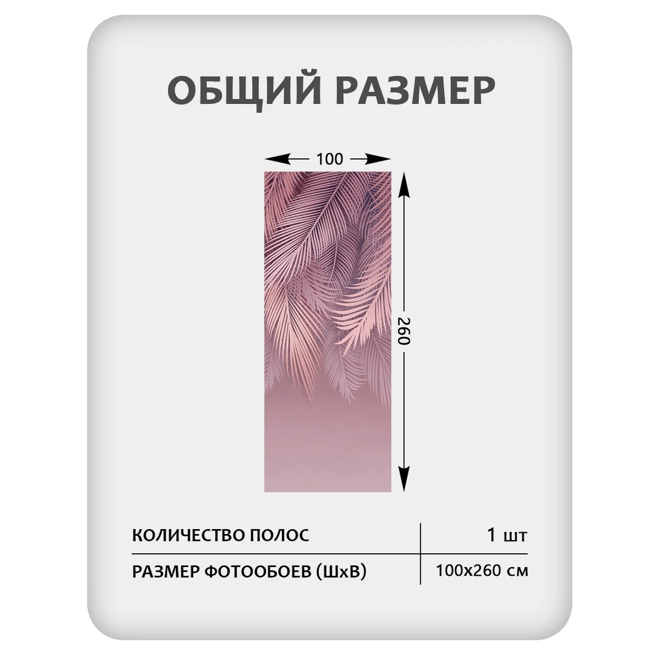 Фотообои рулонные Citydecor Пальмовые листья 81 на флизелиновой основе 100x260 см