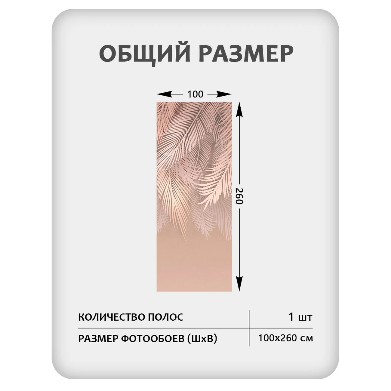 Фотообои рулонные Citydecor Пальмовые листья 82 на флизелиновой основе 100x260 см