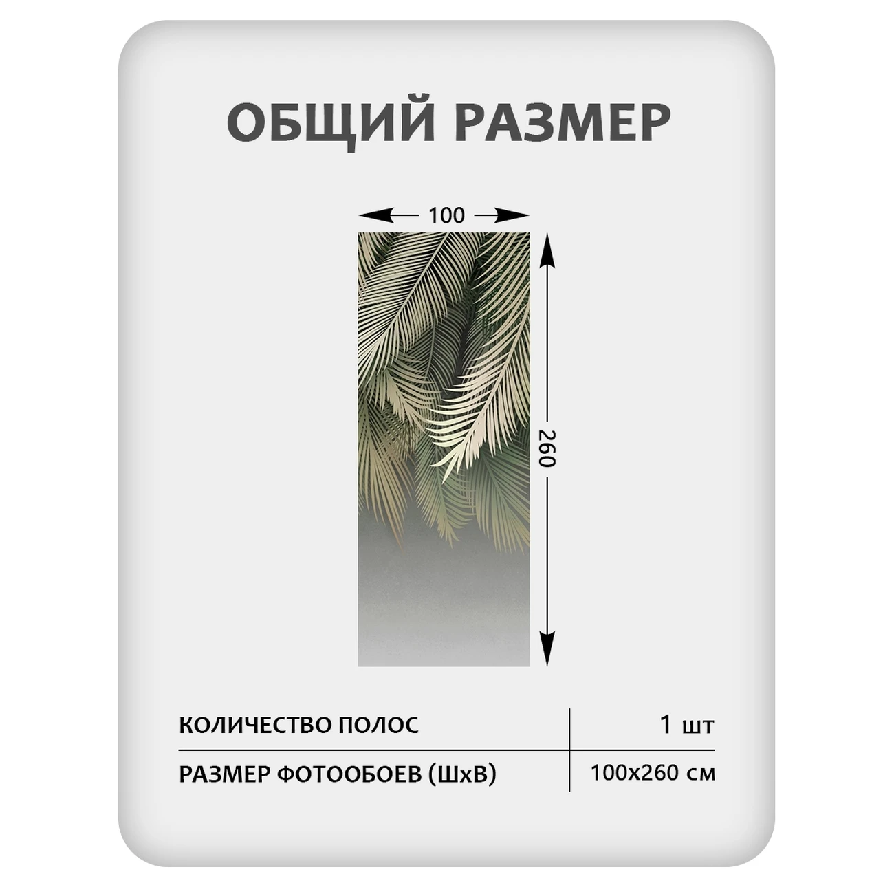 Фотообои рулонные Citydecor Пальмовые листья 84 на флизелиновой основе 100x260 см