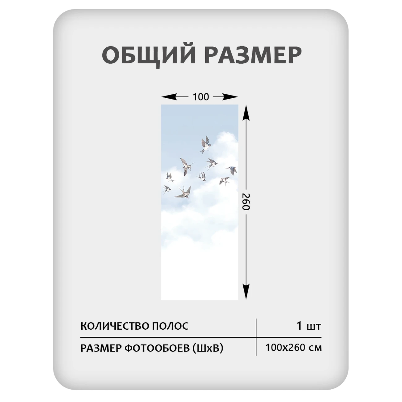 Фотообои рулонные Citydecor Air 11 на флизелиновой основе 100x260 см