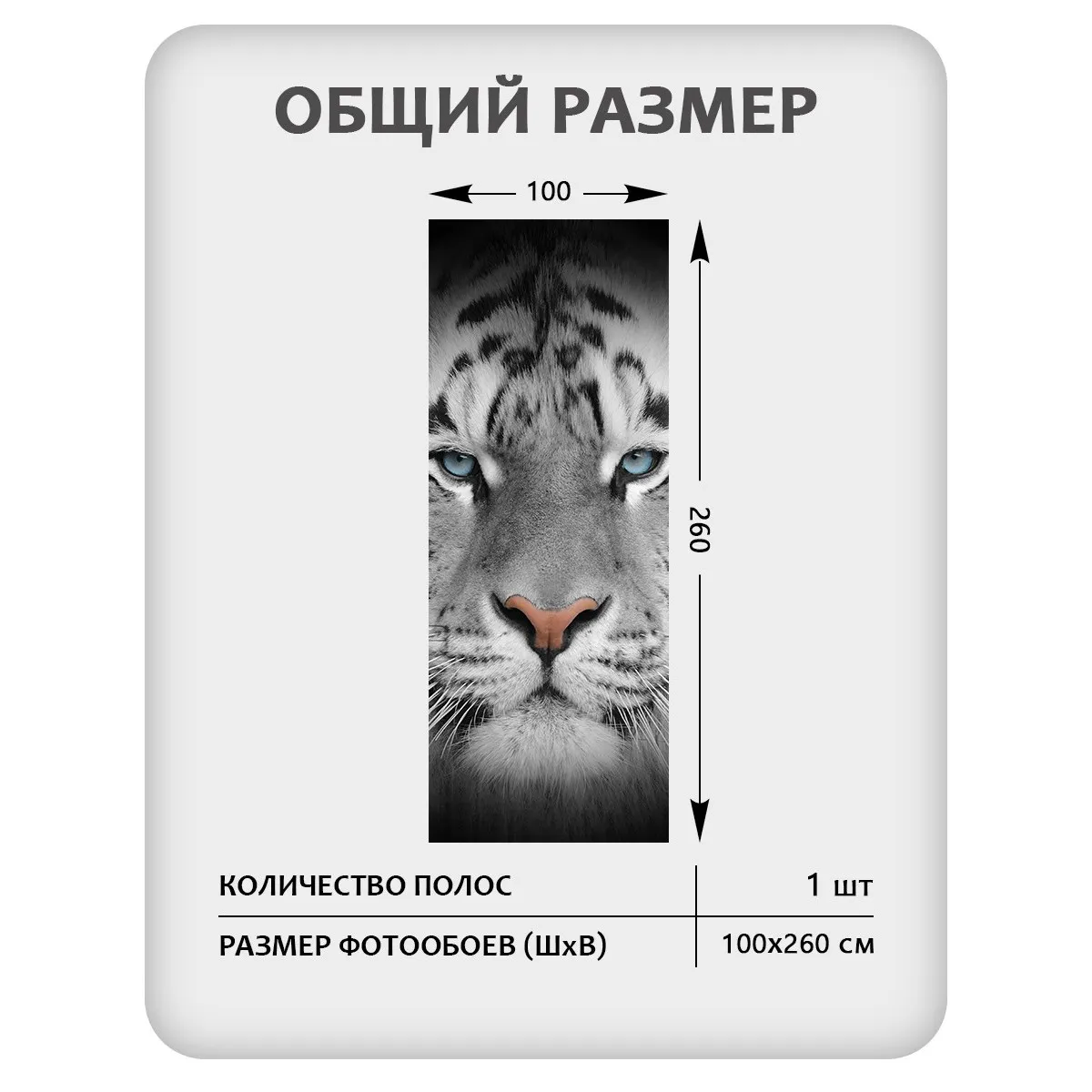 Фотообои рулонные Citydecor Животные и Птицы 55 на флизелиновой основе 100x260 см