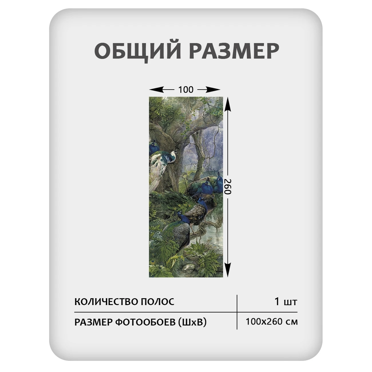 Фотообои рулонные Citydecor Животные и Птицы 57 на флизелиновой основе 100x260 см