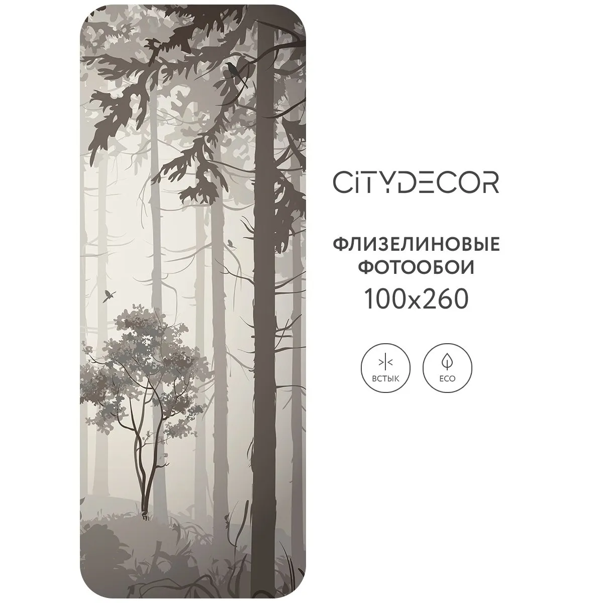 Дизайнерские фотообои рулонные Citydecor Dark Side 35 на флизелиновой основе 100x260 см