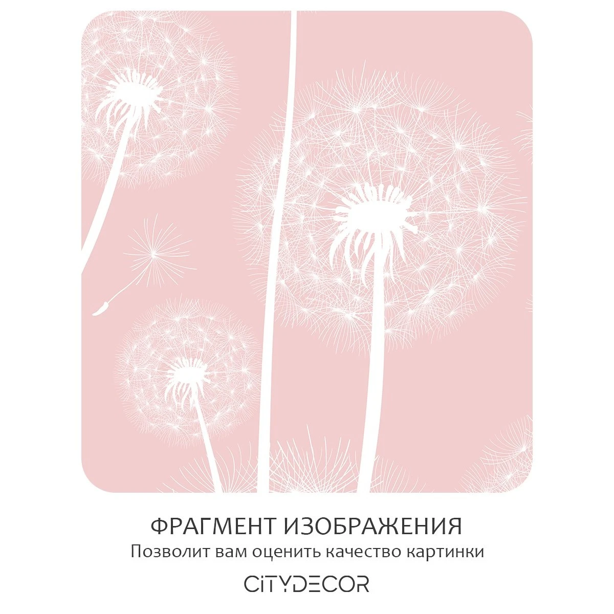 Фотообои рулонные Citydecor Цветы и Растения 11 на флизелиновой основе 100x260 см
