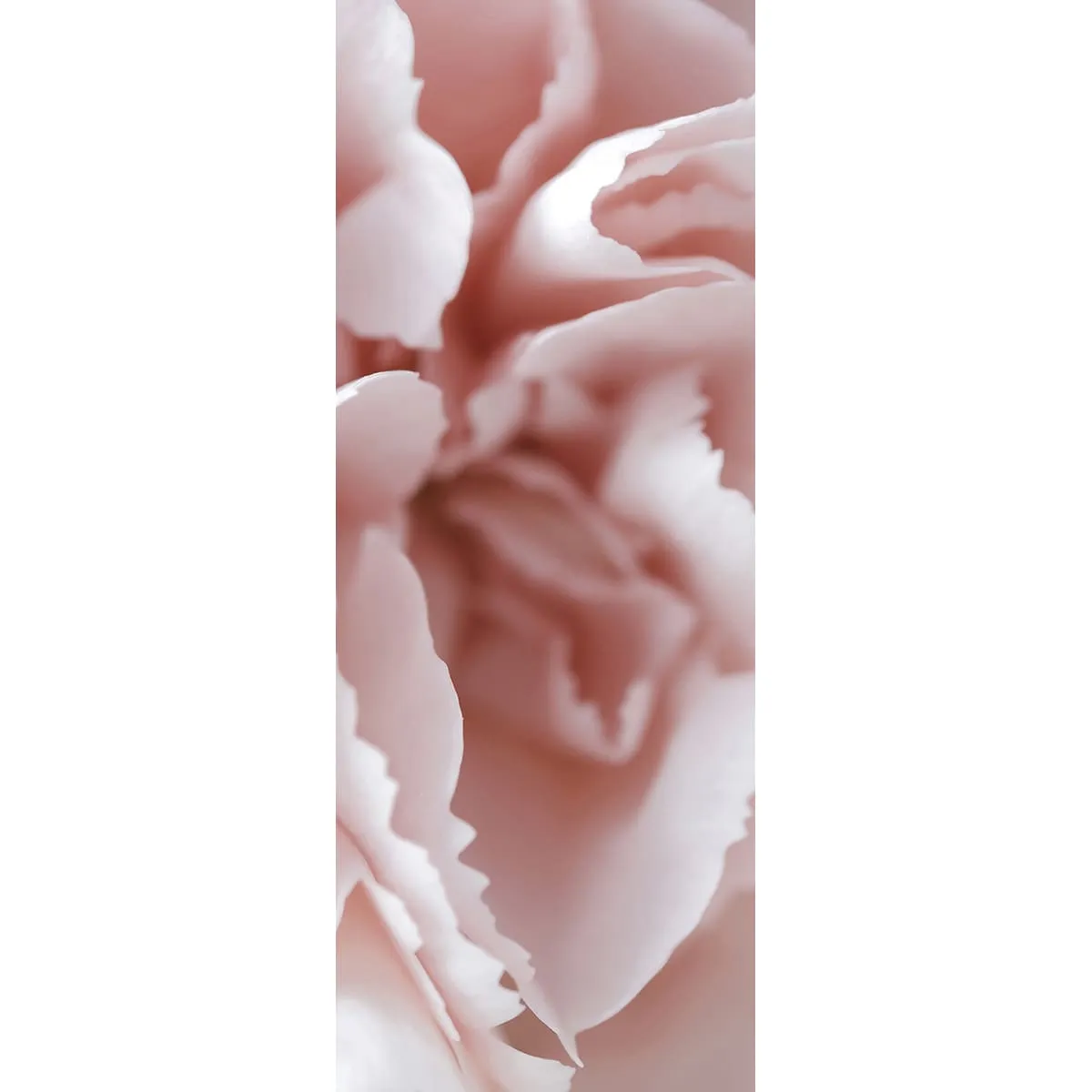 Фотообои рулонные Citydecor Цветы и Растения 132 на флизелиновой основе 100x260 см