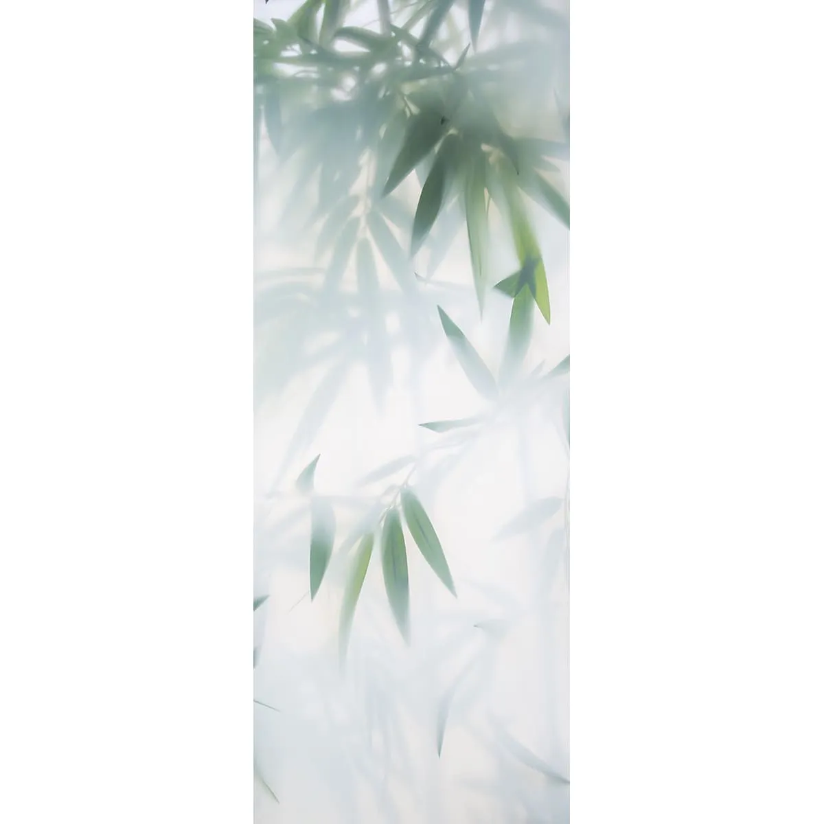 Фотообои рулонные Citydecor Цветы и Растения 153 на флизелиновой основе 100x260 см