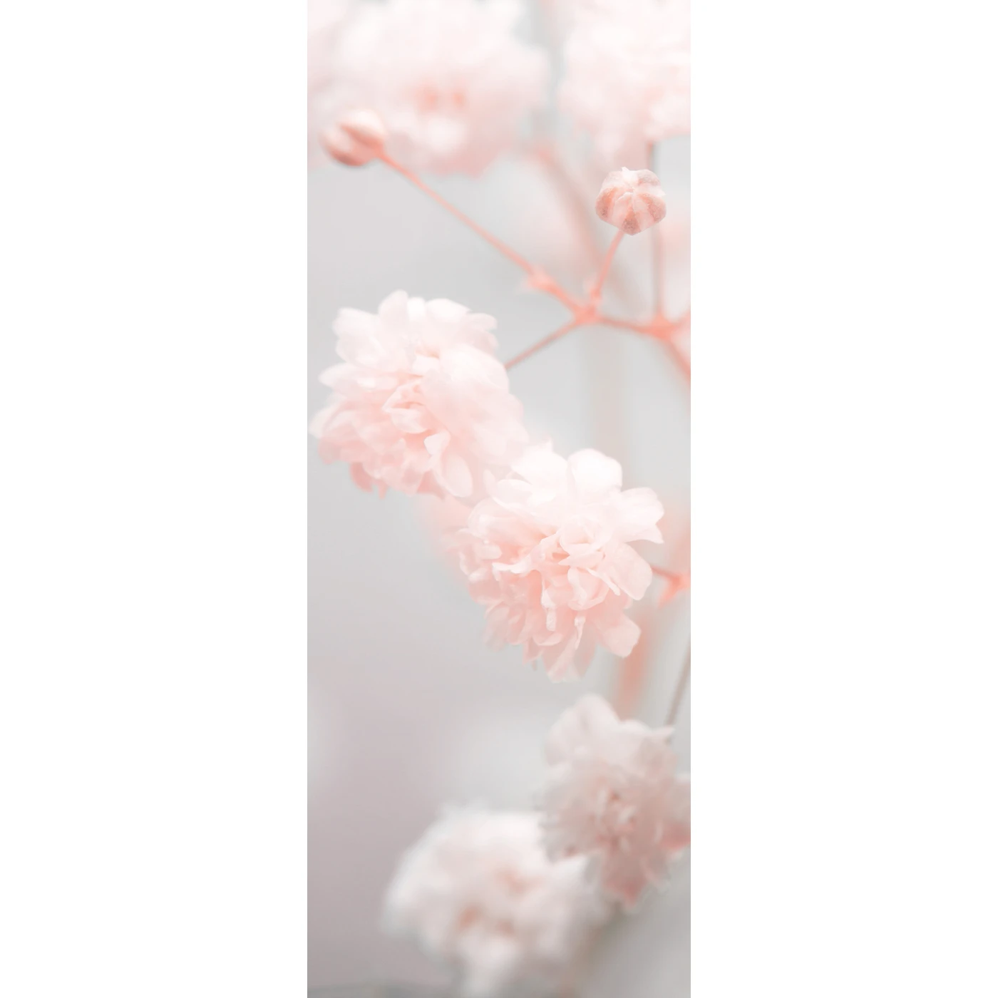 Фотообои рулонные Citydecor Цветы и Растения 168 на флизелиновой основе 100X260 см