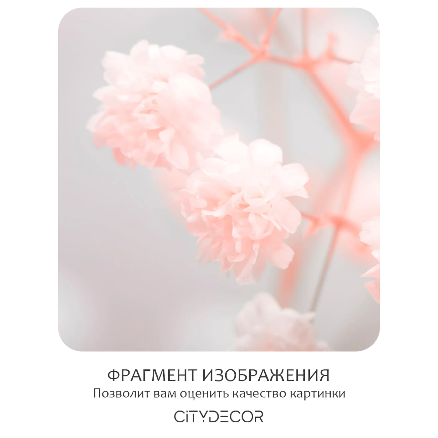 Фотообои рулонные Citydecor Цветы и Растения 168 на флизелиновой основе 100X260 см
