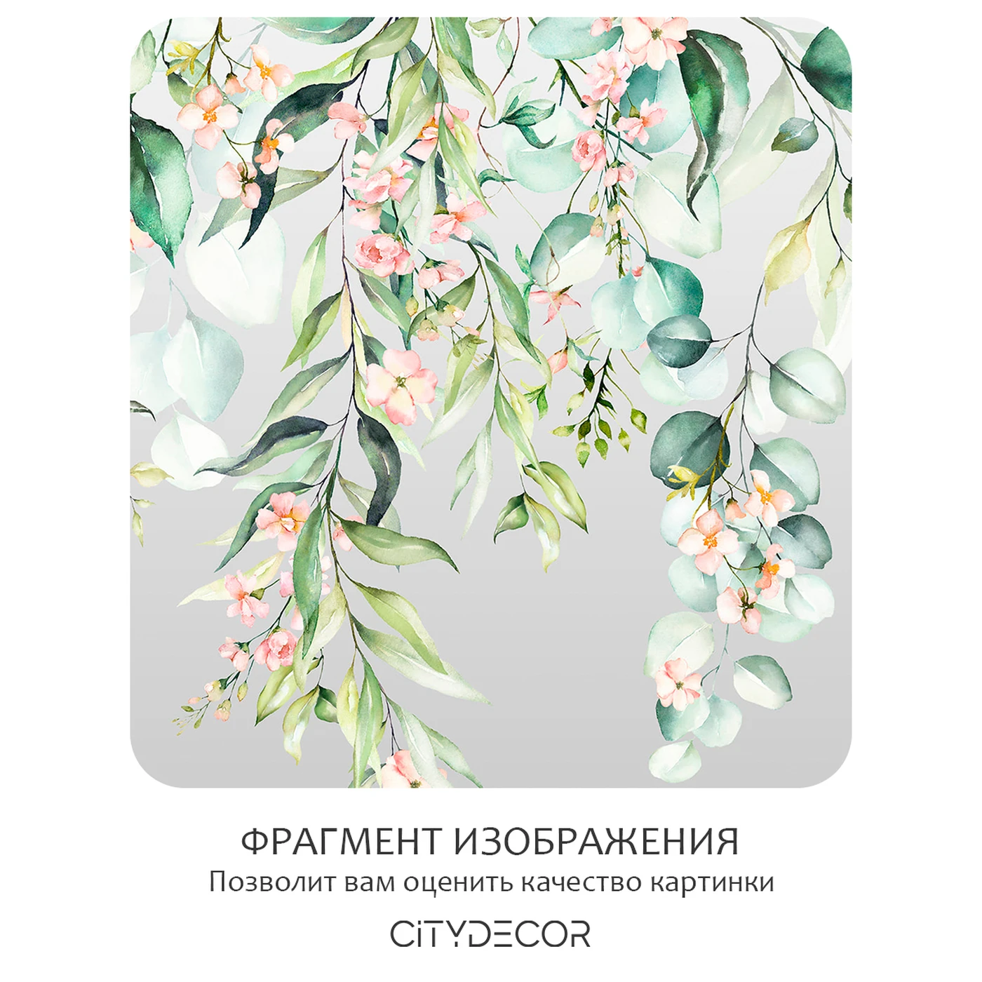 Фотообои рулонные Citydecor Цветы и Растения 173 на флизелиновой основе 100x260 см