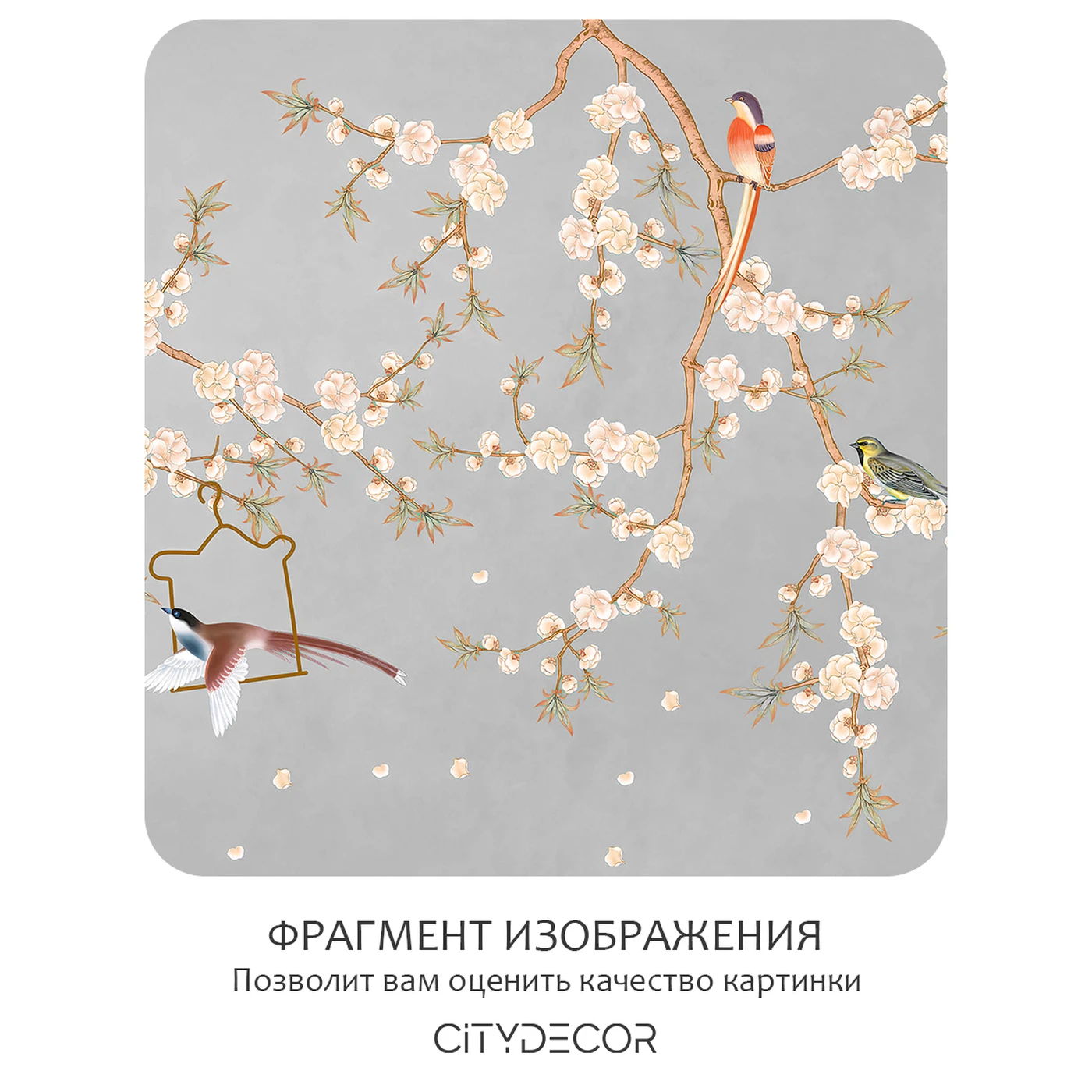 Фотообои рулонные Citydecor Цветы и Растения 177 на флизелиновой основе 100X260 см