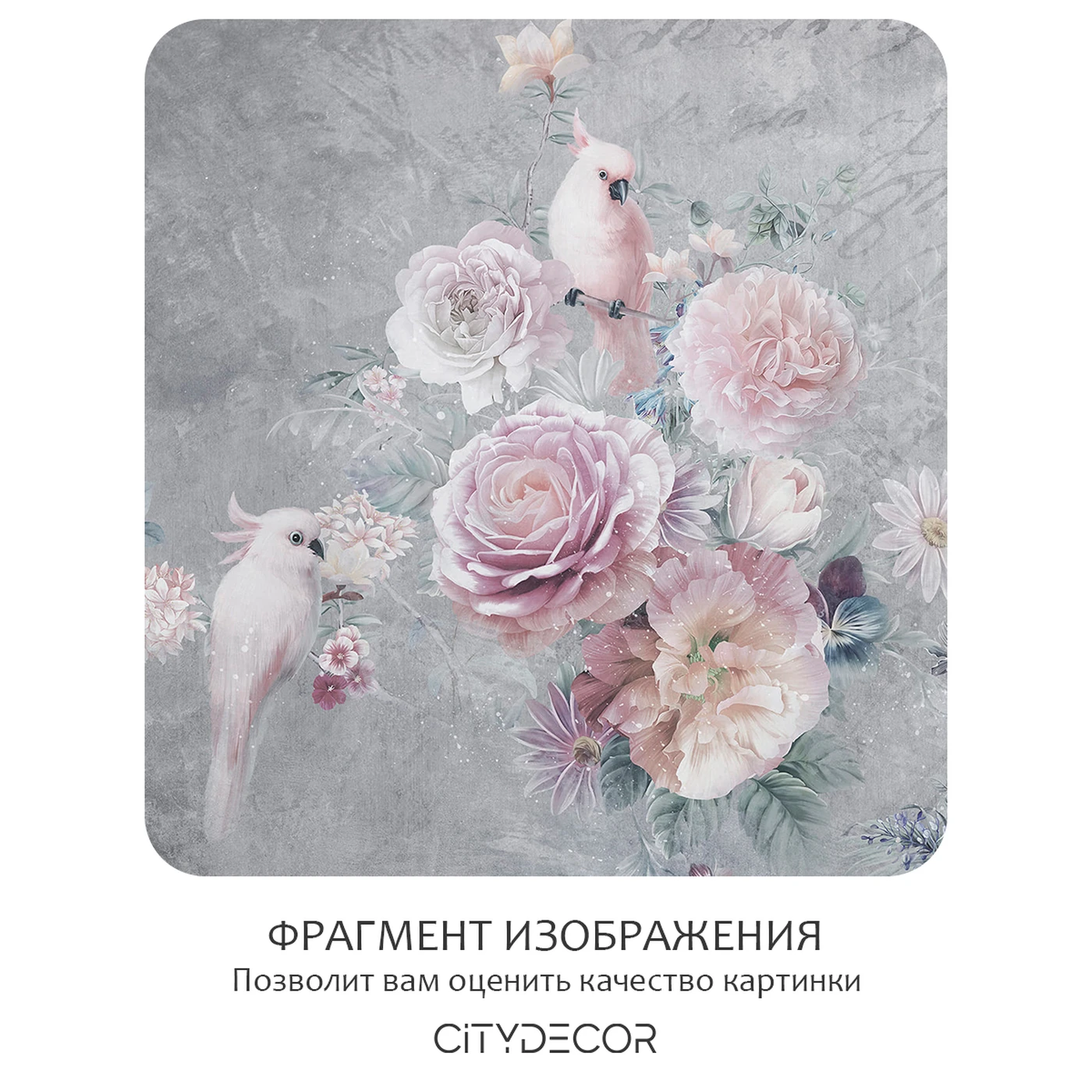 Фотообои рулонные Citydecor Цветы и Растения 181 на флизелиновой основе 100X260 см