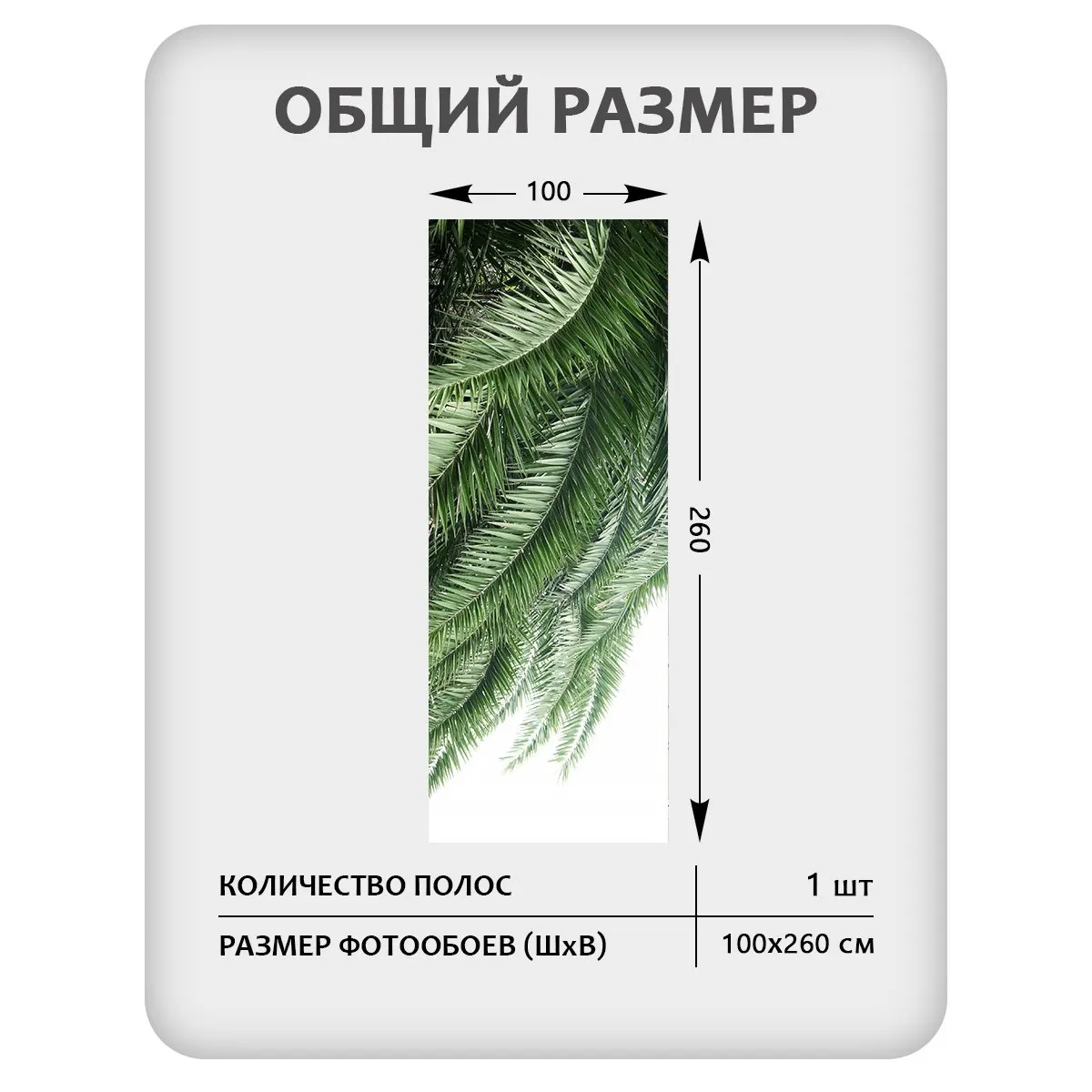 Фотообои рулонные Citydecor Цветы и Растения 203 на флизелиновой основе 100x260 см