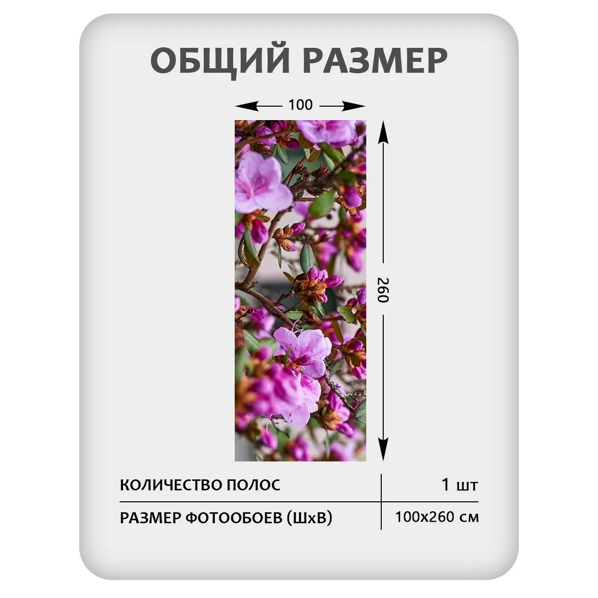 Фотообои рулонные Citydecor Цветы и Растения 204 на флизелиновой основе 100x260 см