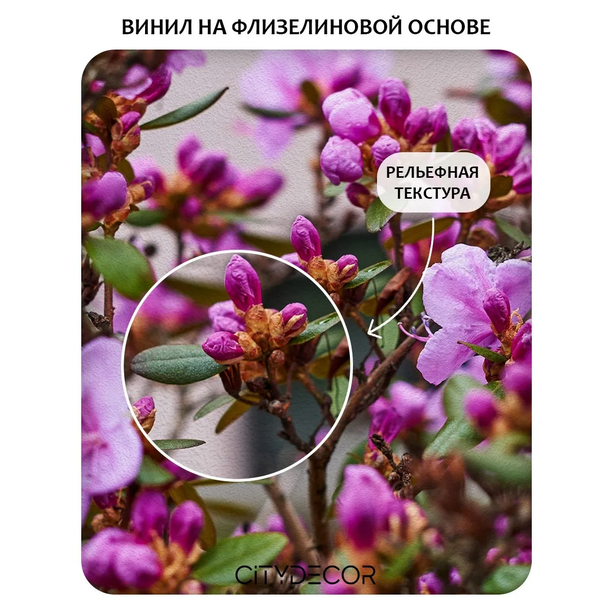 Фотообои рулонные Citydecor Цветы и Растения 204 на флизелиновой основе 100x260 см