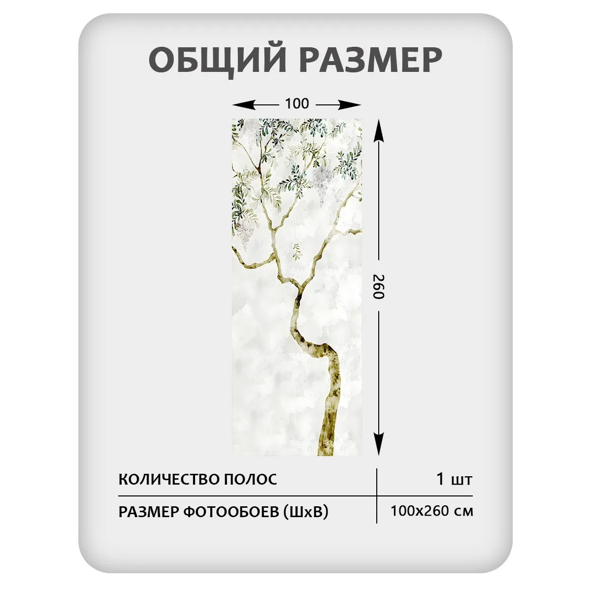 Фотообои рулонные Citydecor Цветы и Растения 205 на флизелиновой основе 100x260 см