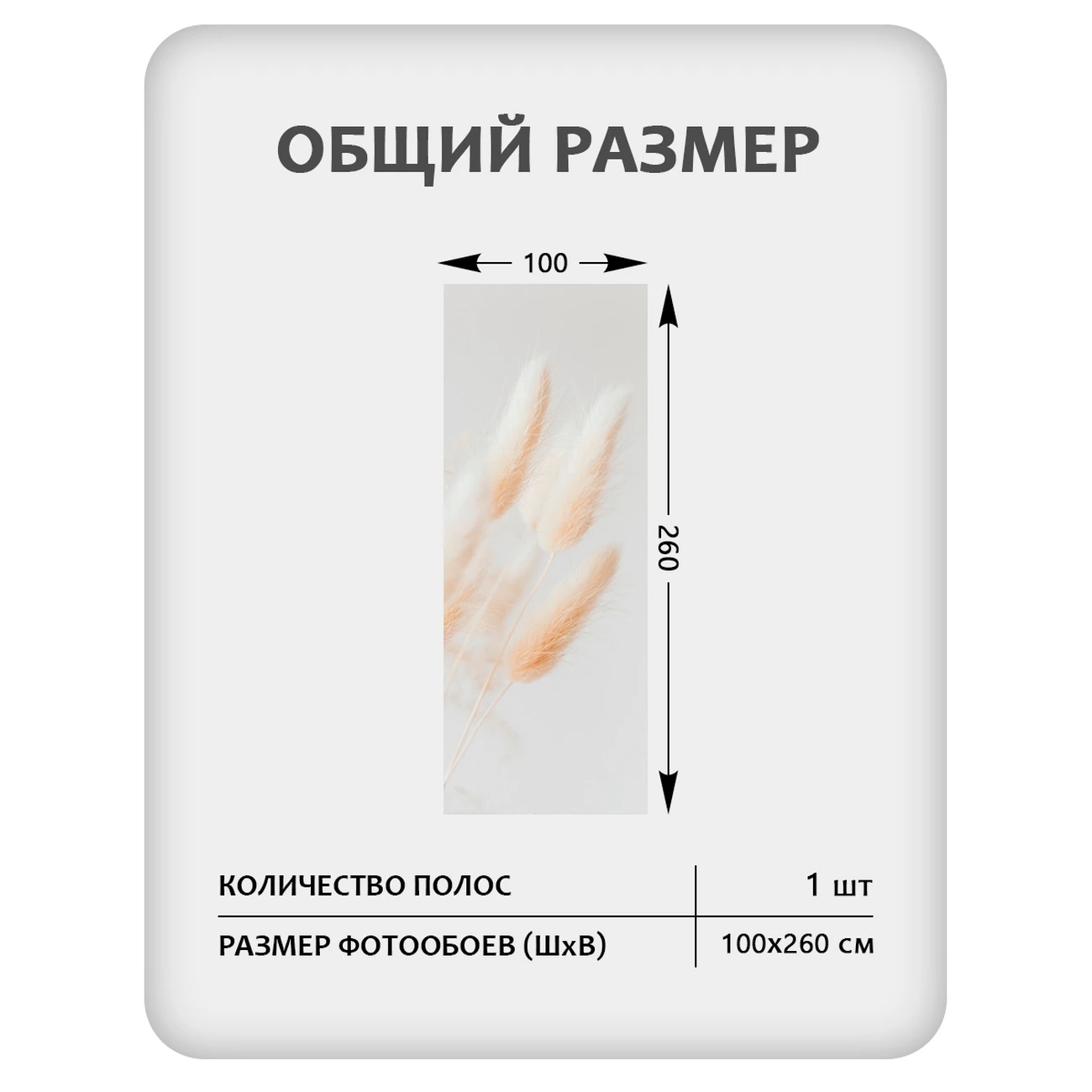 Фотообои рулонные Citydecor Цветы и Растения 235 на флизелиновой основе 100x260 см