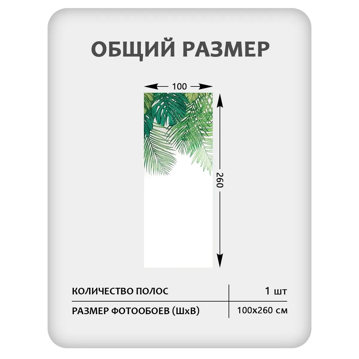 Фотообои рулонные Citydecor Цветы и Растения 237 на флизелиновой основе 100x260 см