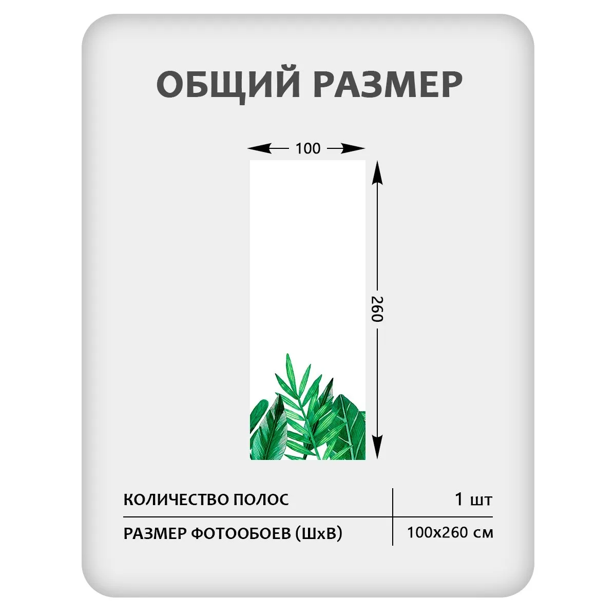 Фотообои рулонные Citydecor Цветы и Растения 238 на флизелиновой основе 100x260 см