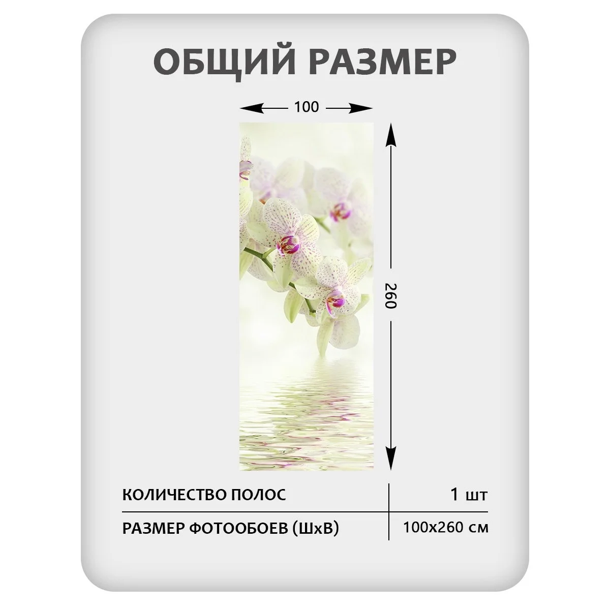 Фотообои рулонные Citydecor Цветы и Растения 34 на флизелиновой основе 100x260 см