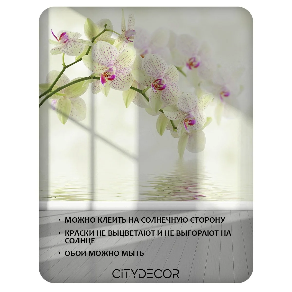 Фотообои рулонные Citydecor Цветы и Растения 34 на флизелиновой основе 100x260 см