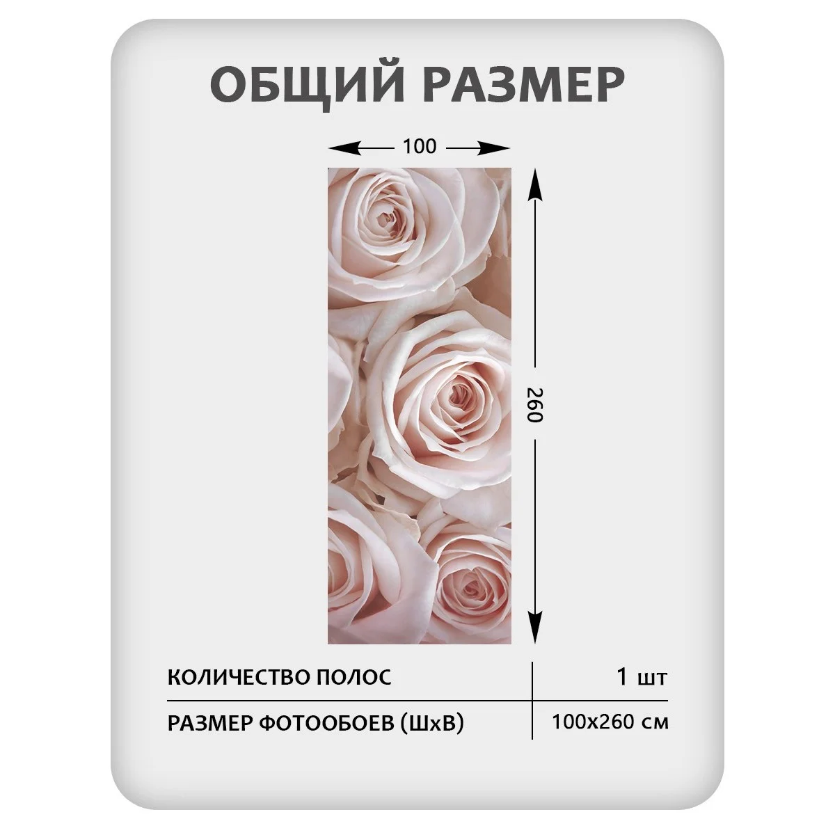 Фотообои рулонные Citydecor Цветы и Растения 36 на флизелиновой основе 100x260 см