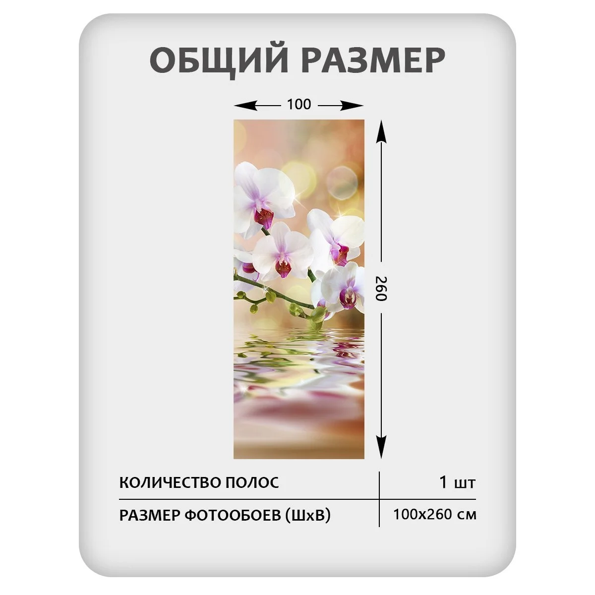 Фотообои рулонные Citydecor Цветы и Растения 38 на флизелиновой основе 100x260 см