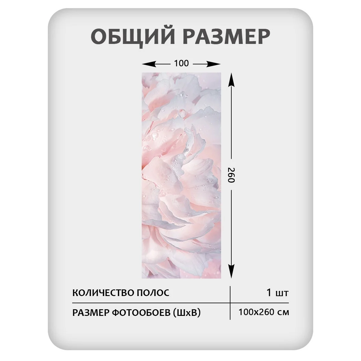 Фотообои рулонные Citydecor Цветы и Растения 40 на флизелиновой основе 100x260 см