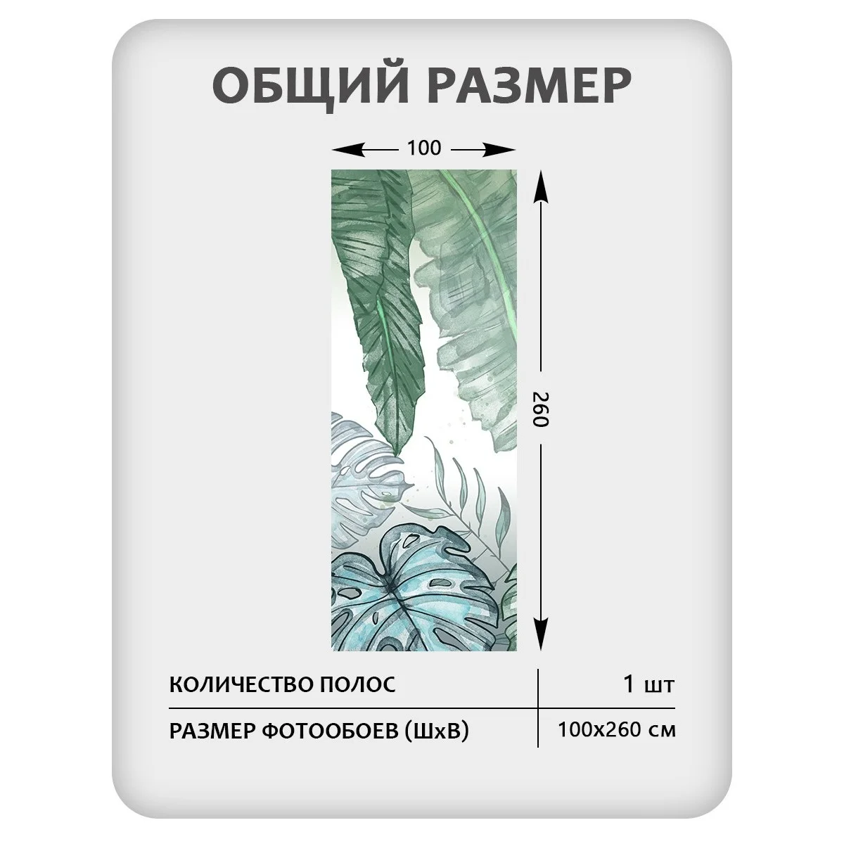 Фотообои рулонные Citydecor Цветы и Растения 41 на флизелиновой основе 100x260 см