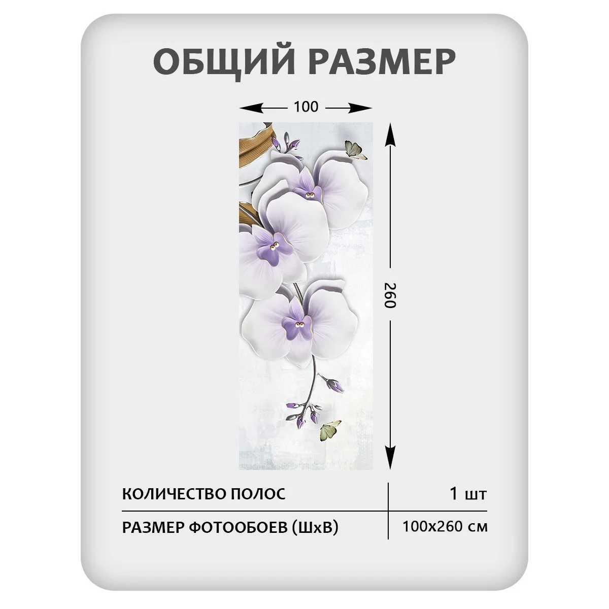 Фотообои рулонные Citydecor Цветы и Растения 42 на флизелиновой основе 100x260 см